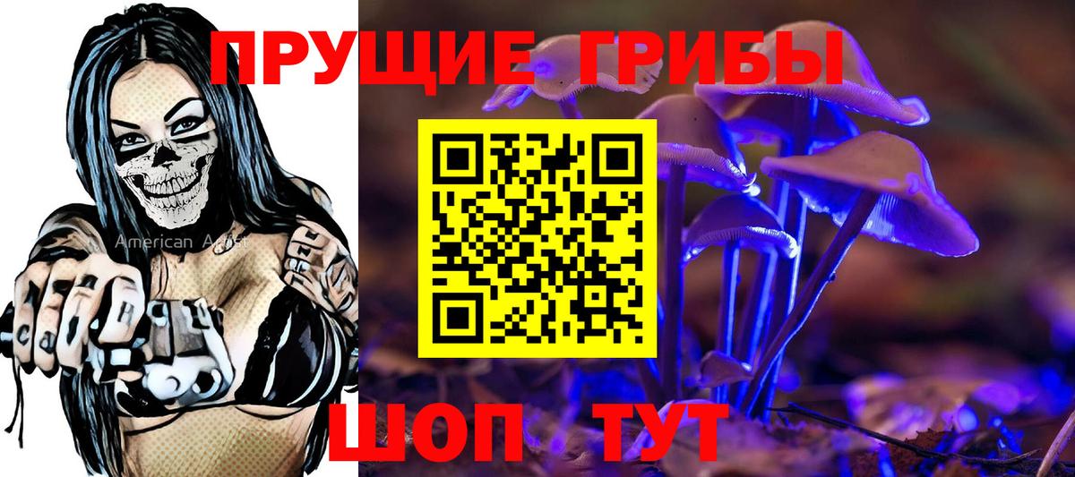 Псилоцибиновые грибы Magic Shrooms Северобайкальск