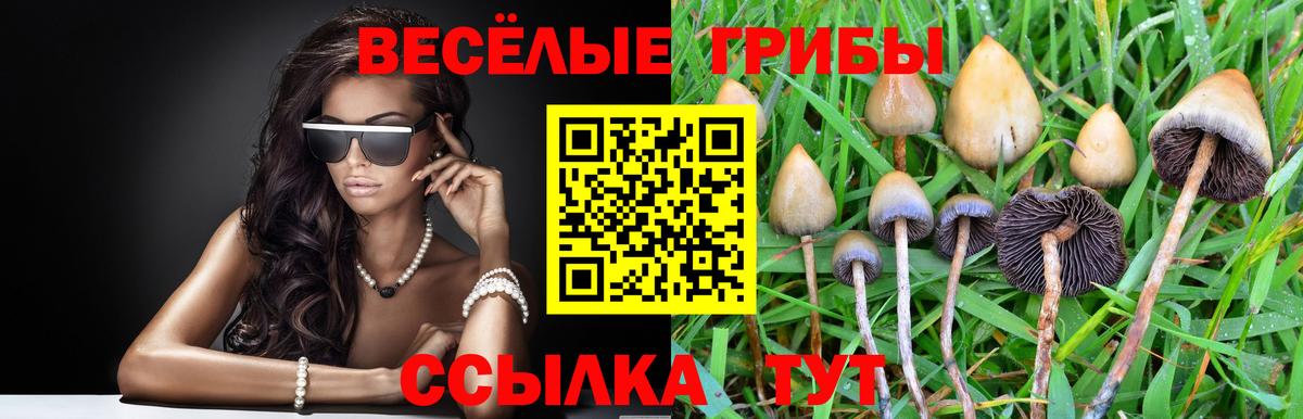 Псилоцибиновые грибы MAGIC MUSHROOMS  Вход с VPN  Северобайкальск  Псилоцибиновые грибы Psilocybe 